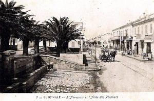 GUYOTVILLE - ABREUVOIR ET ALLEE DES PALMIERS